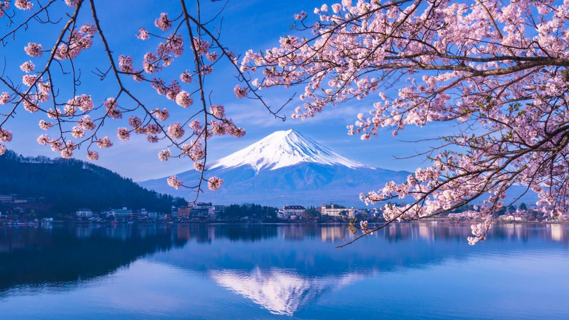 Fuji Fumoto Forest Hotspring ふもとの森温泉 Fujikawaguchiko Dış mekan fotoğraf