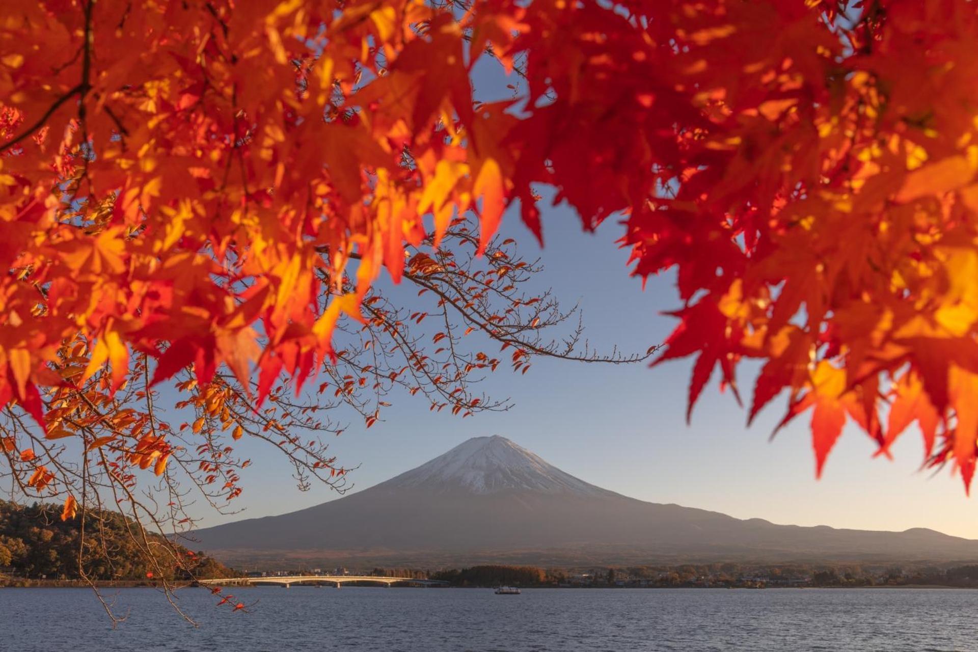 Fuji Fumoto Forest Hotspring ふもとの森温泉 Fujikawaguchiko Dış mekan fotoğraf